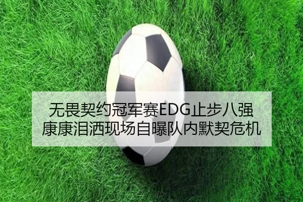 无畏契约冠军赛EDG止步八强 康康泪洒现场自曝队内默契危机