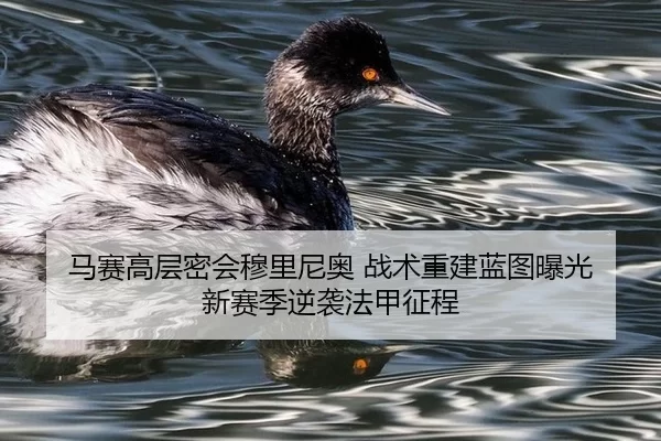 马赛高层密会穆里尼奥 战术重建蓝图曝光 新赛季逆袭法甲征程